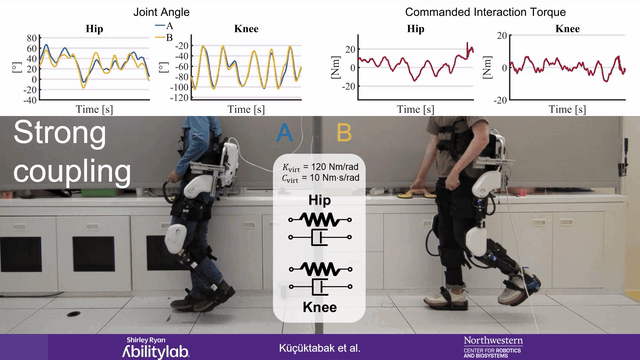 Virtual Physical Coupling of Two Lower-Limb Exoskeletons